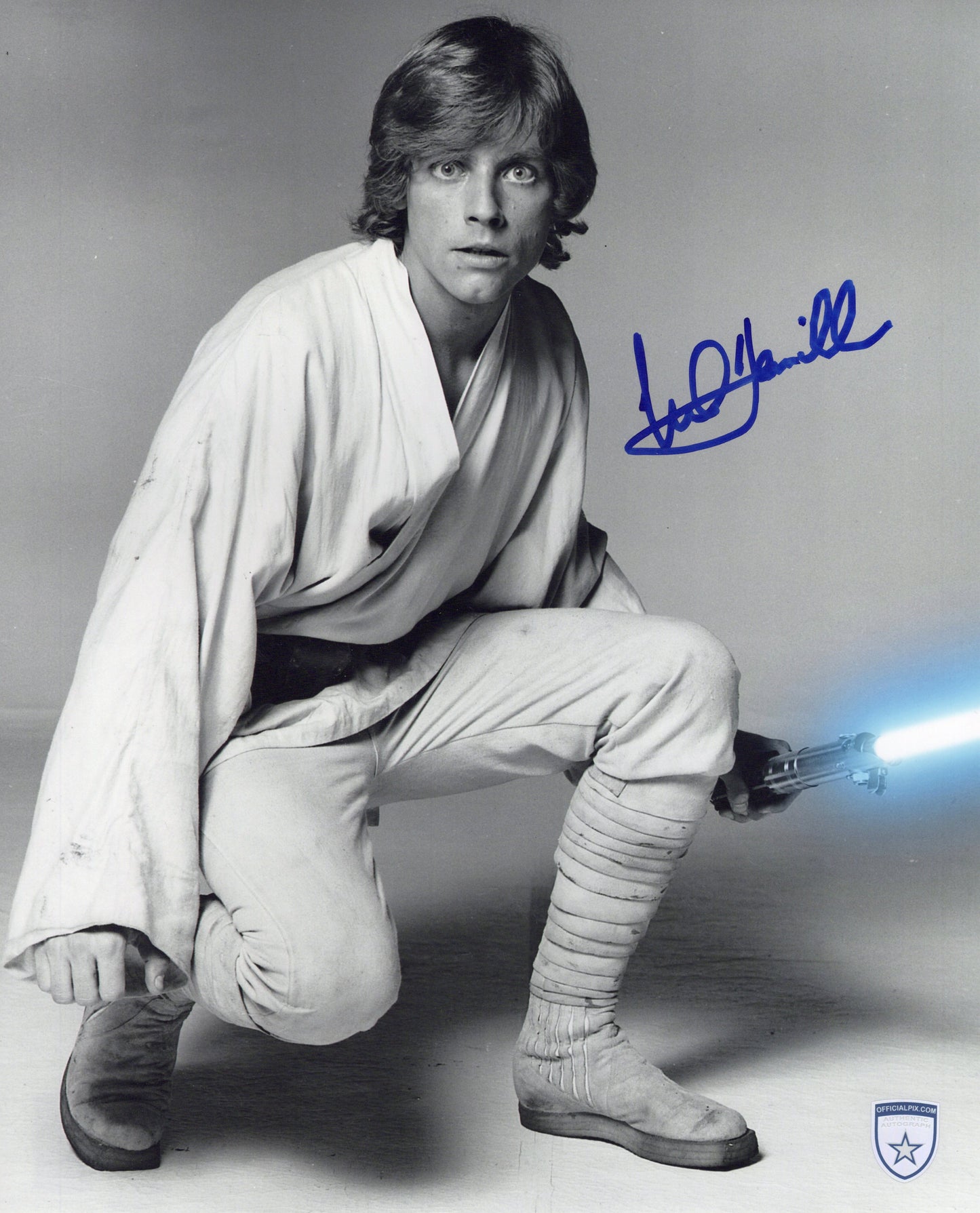STOCK-MARK-HAMILL-013-11x14
