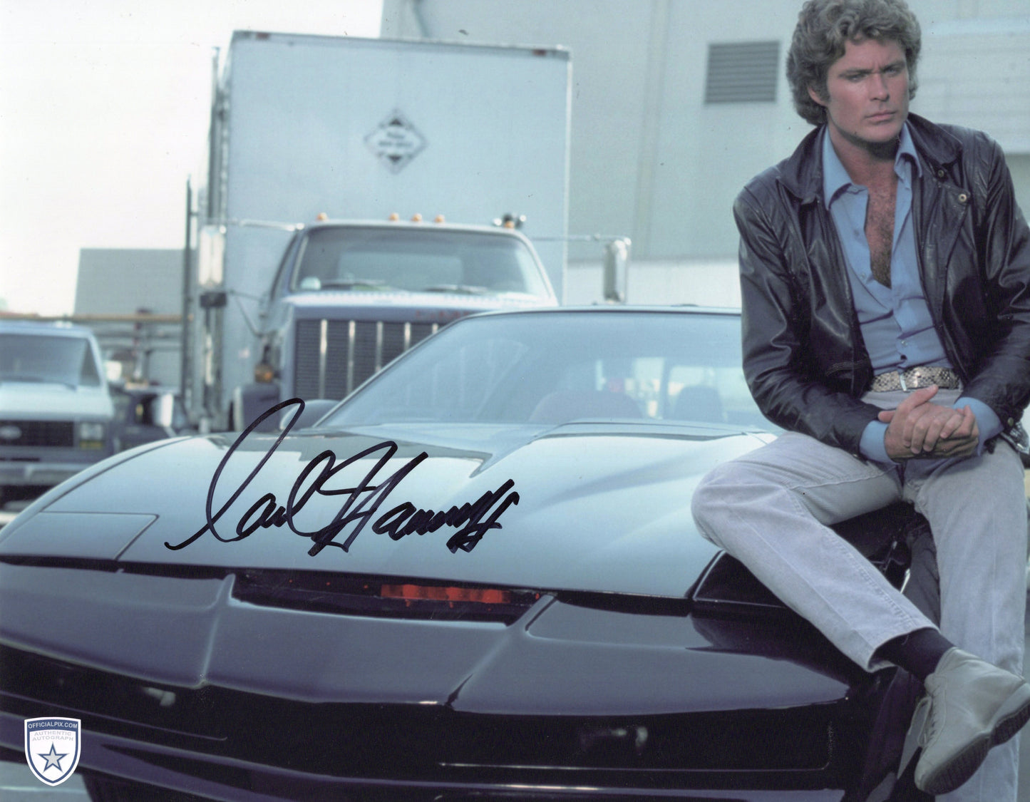 STOCK-DAVID-HASSELHOFF-004-11X14