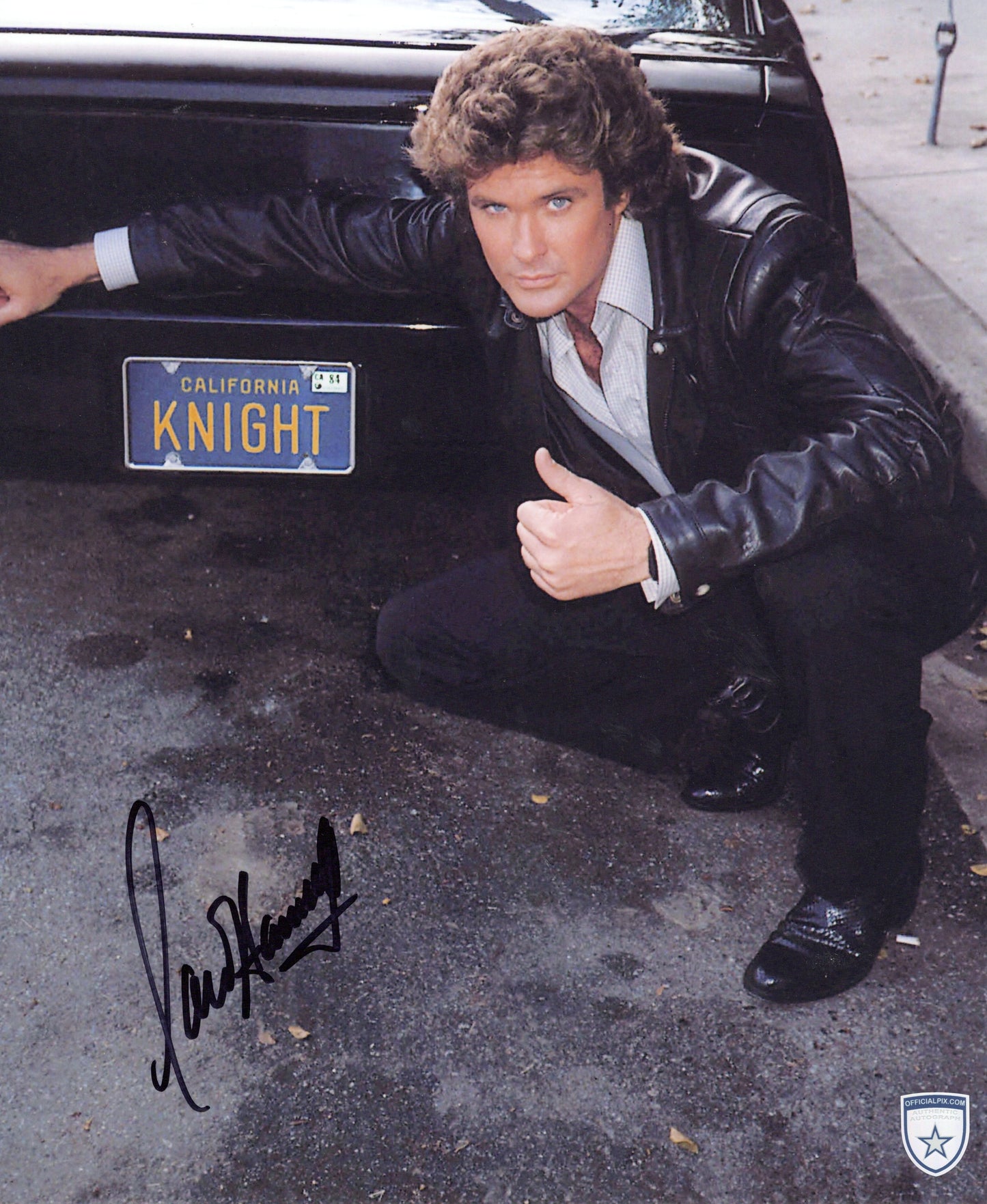 STOCK-DAVID-HASSELHOFF-007-11X14