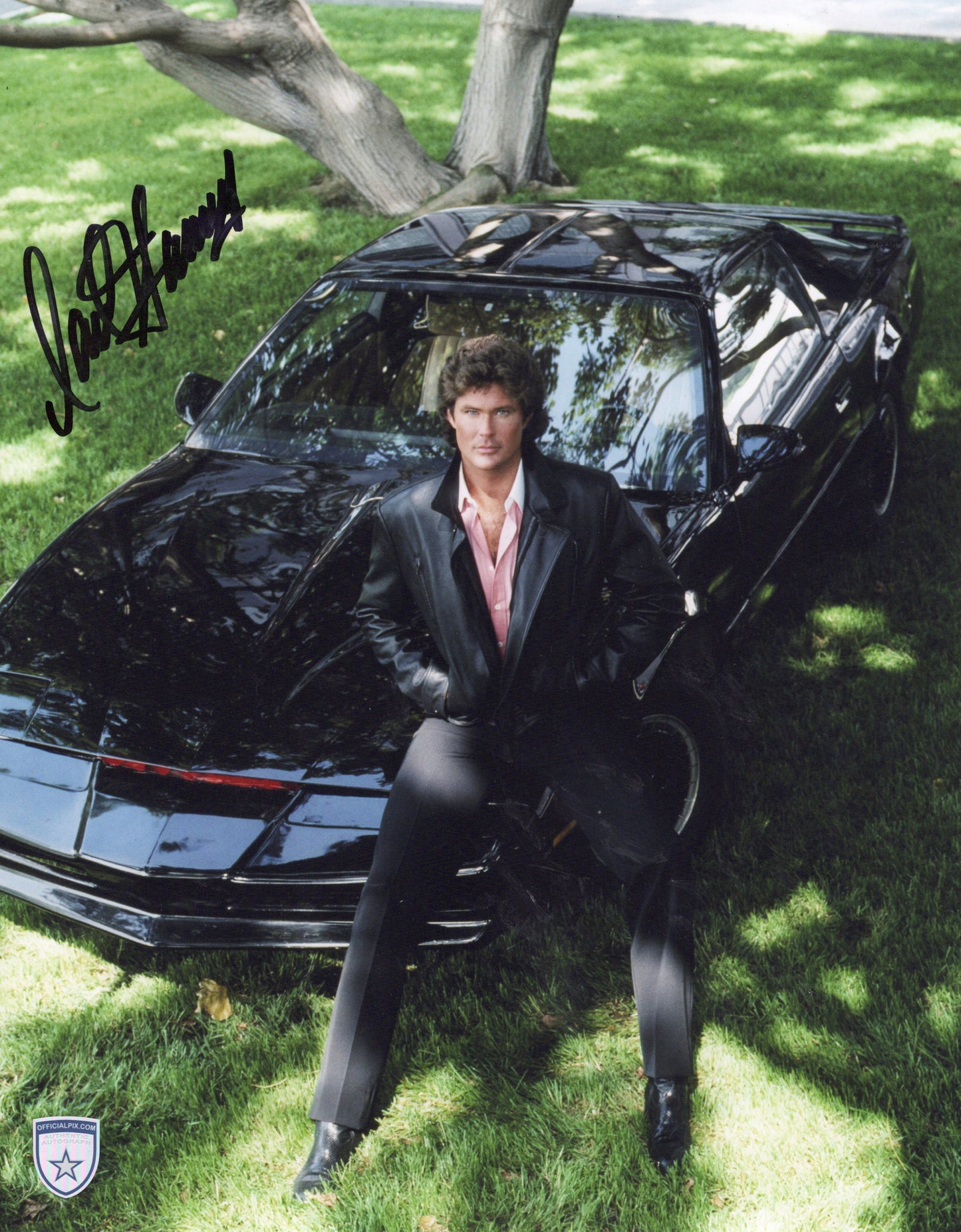 STOCK-DAVID-HASSELHOFF-008-11X14