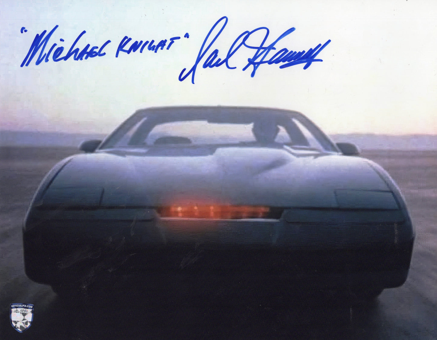 STOCK-DAVID-HASSELHOFF-009-11X14