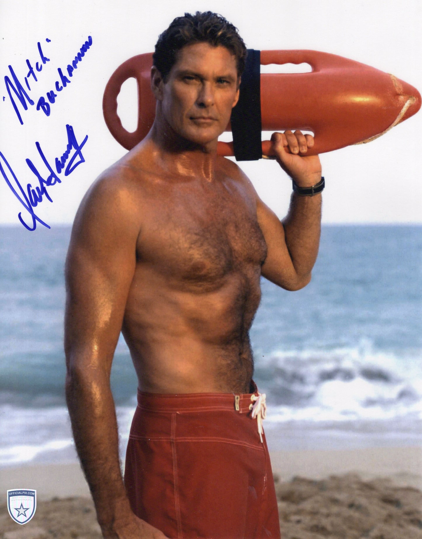 STOCK-DAVID-HASSELHOFF-010-11X14-M