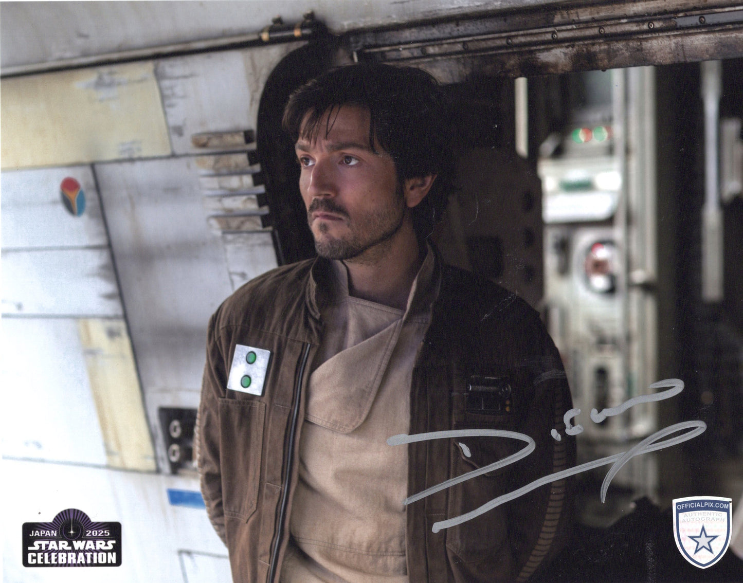 STOCK-DIEGO-LUNA-002-8X10