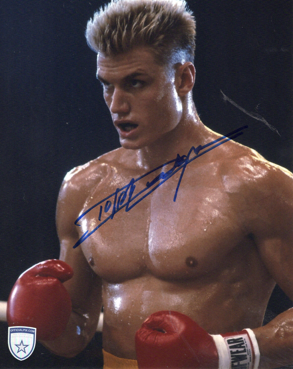 STOCK-DOLPH-LUNDGREN-002-8X10