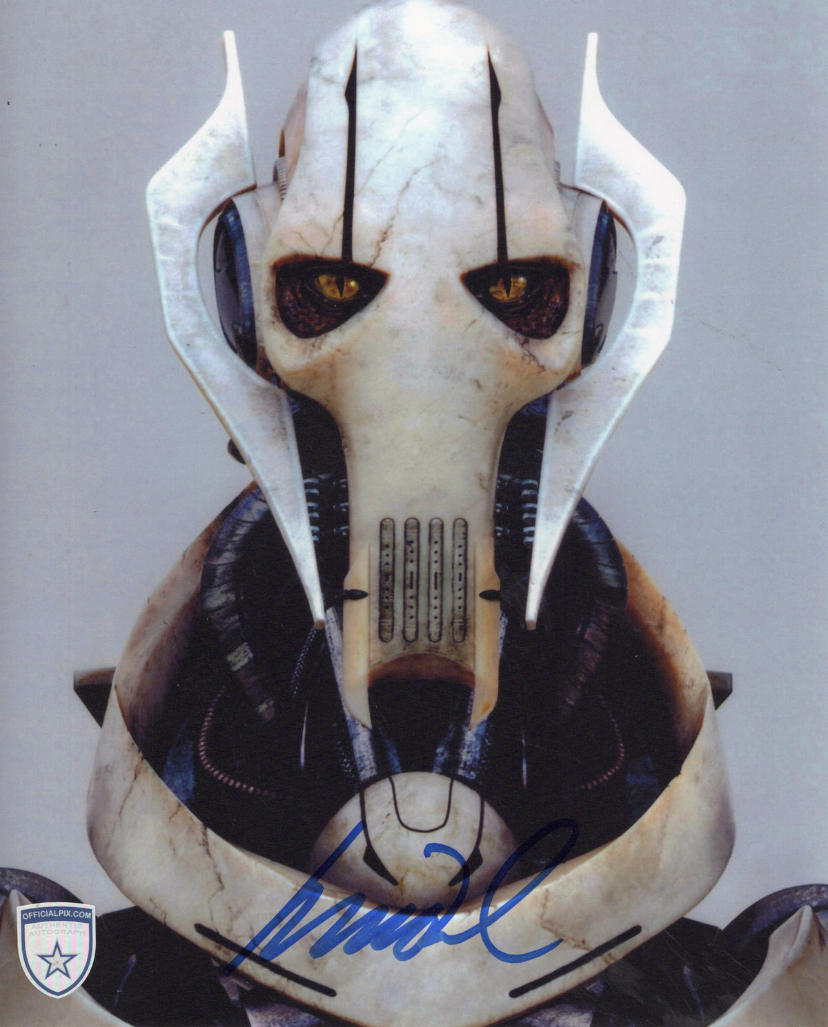 STOCK-MATTHEW-WOOD-003-8X10