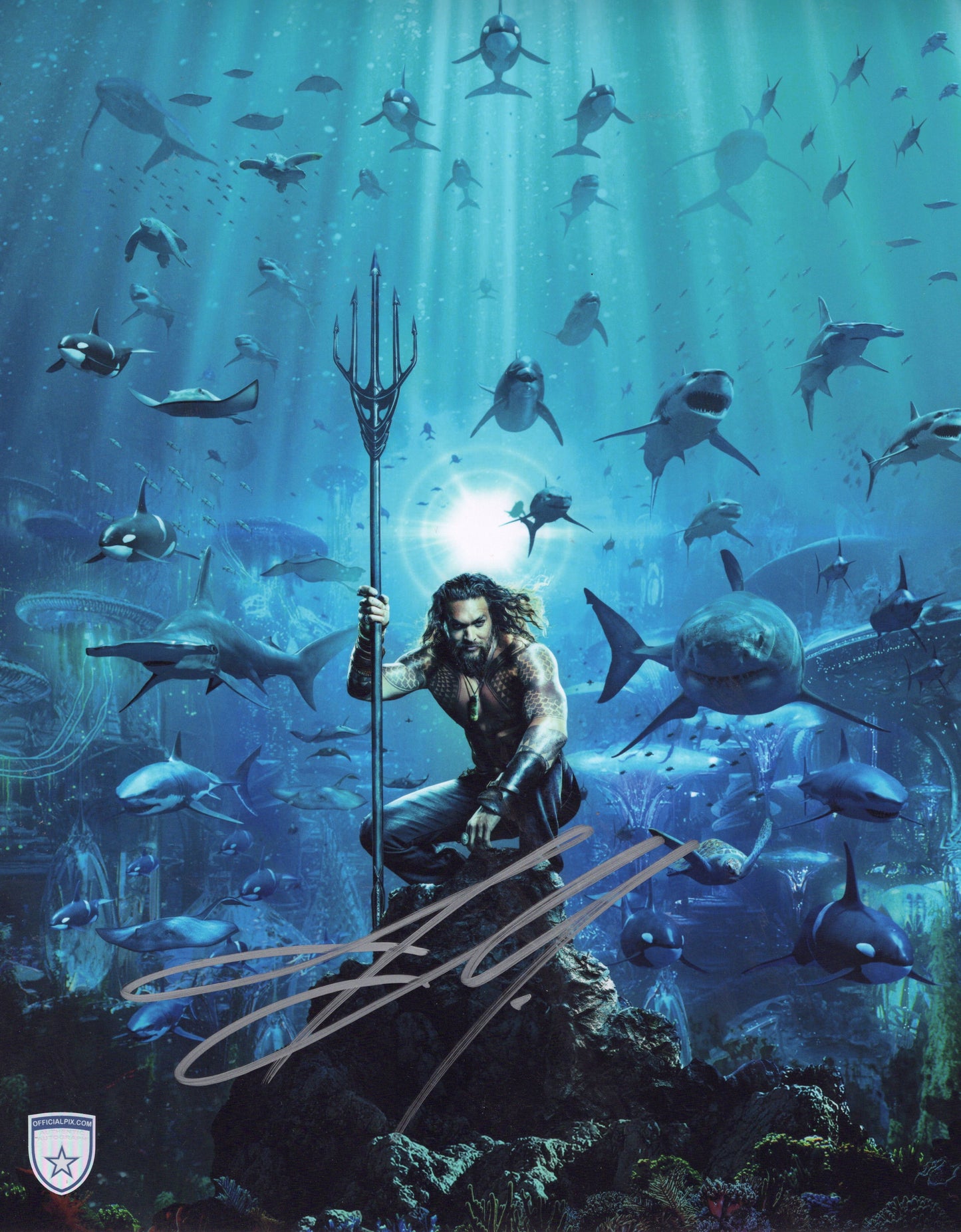 STOCK-JASON-MOMOA-001-11X14