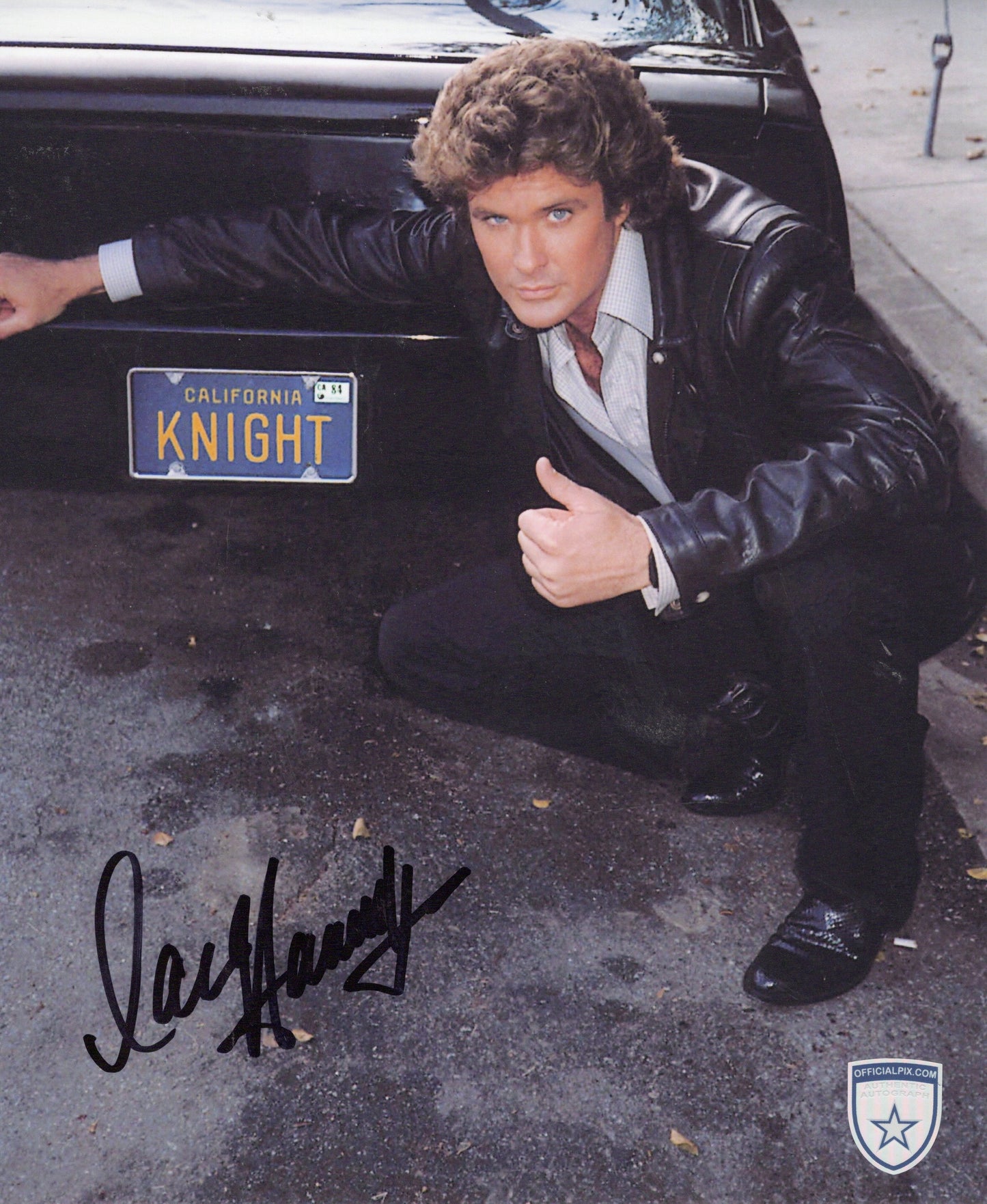 STOCK-DAVID-HASSELHOFF-03-8X10