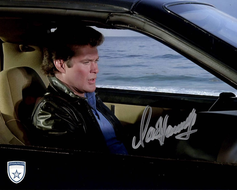 STOCK-DAVID-HASSELHOFF-018-8X10