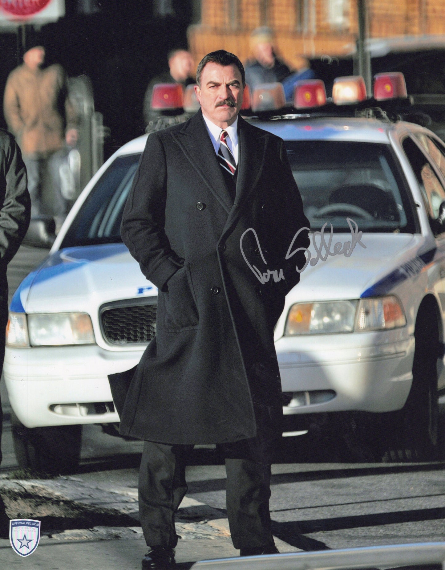 STOCK-TOM-SELLECK-002-11x14