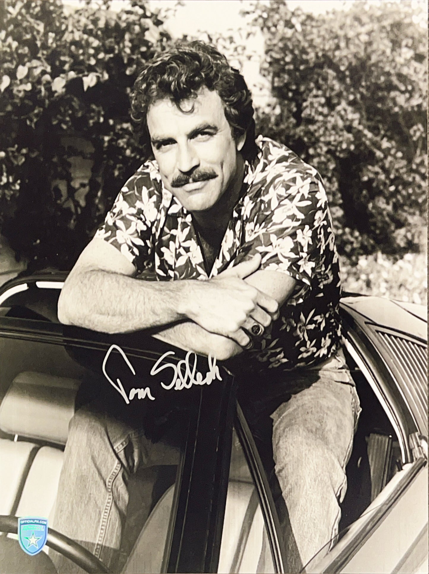 STOCK-TOM-SELLECK-007-11x14