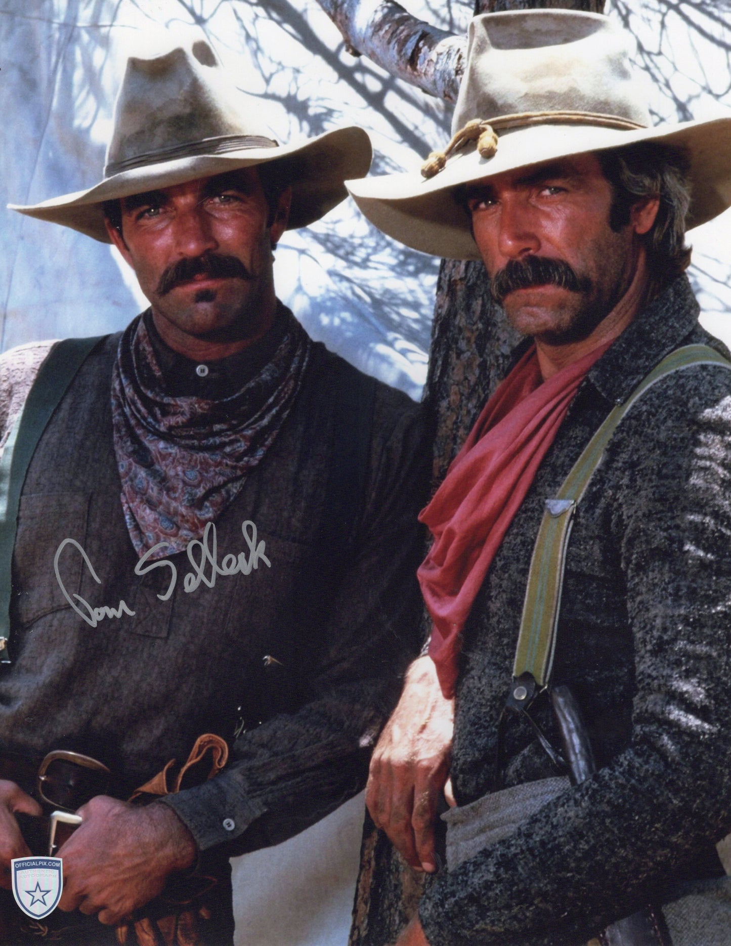 STOCK-TOM-SELLECK-009-11x14