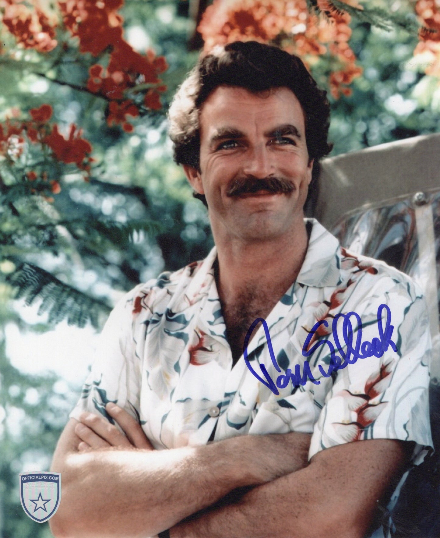 STOCK-TOM-SELLECK-005-8x10