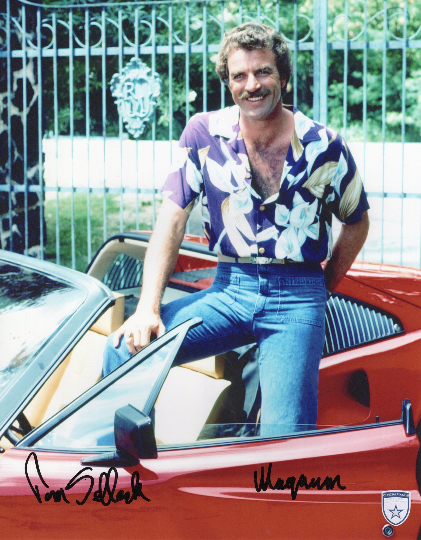 STOCK-TOM-SELLECK-016-11x14