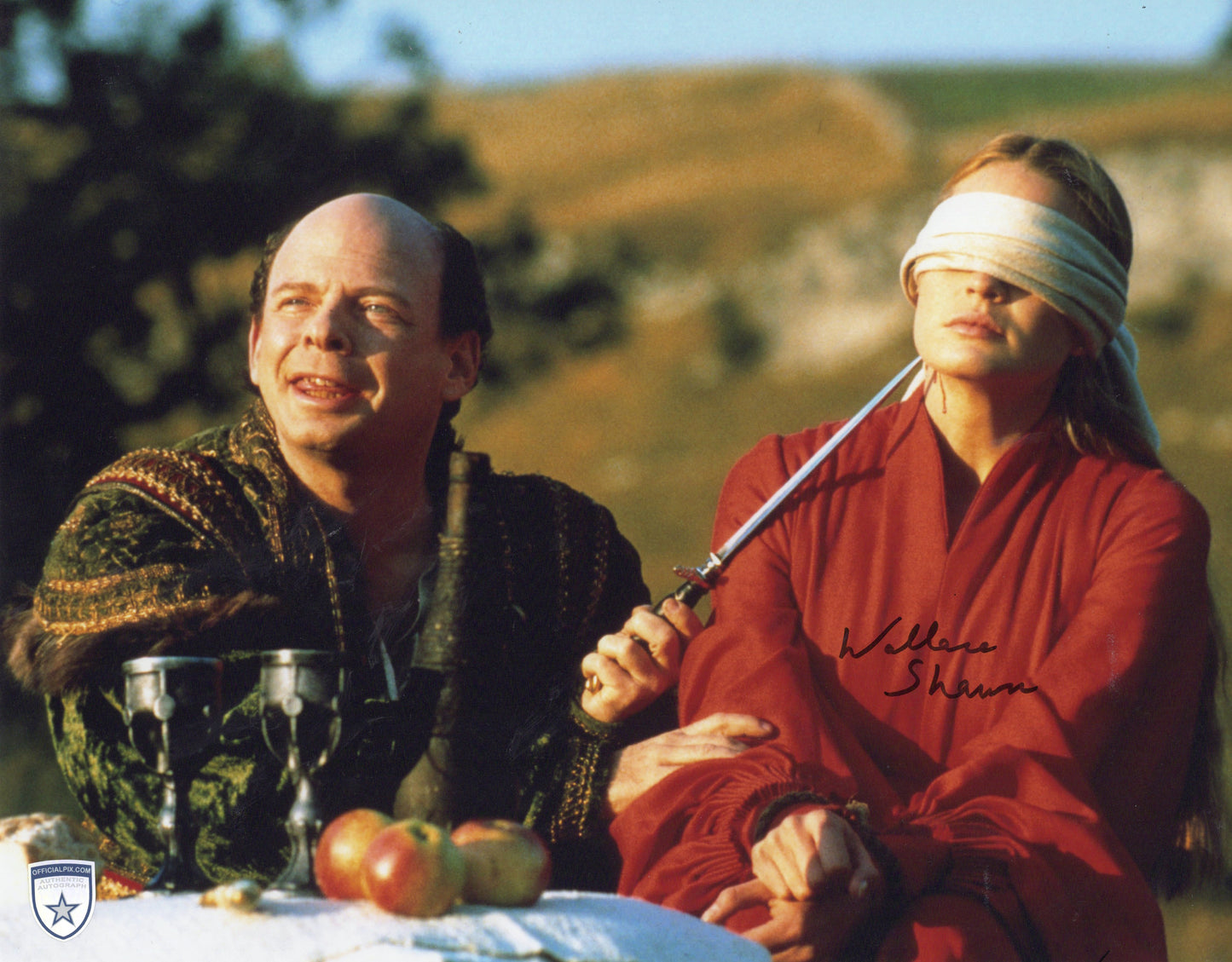 STOCK-WALLACE-SHAWN-002-11X14