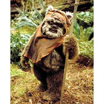 WARWICK-DAVIS-AUTOGRAPH-PHOTO