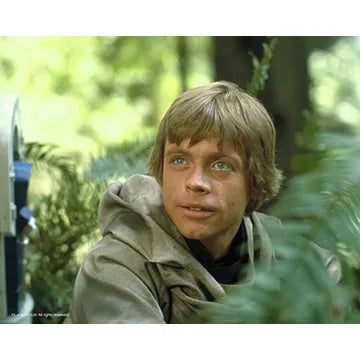 MARK-HAMILL-AUTOGRAPH-PHOTO