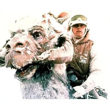 MARK-HAMILL-AUTOGRAPH-PHOTO