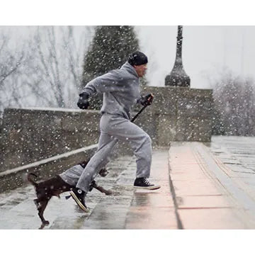 SYLVESTER-STALLONE-AUTOGRAPH-PHOTO