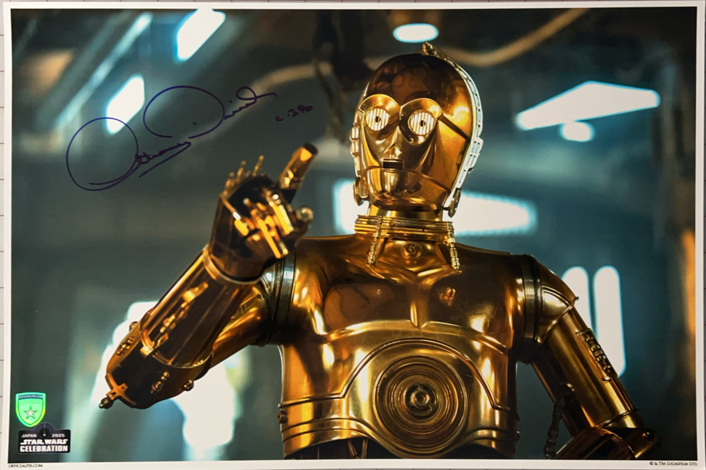 STOCK-ANTHONY-DANIELS-002-13X19