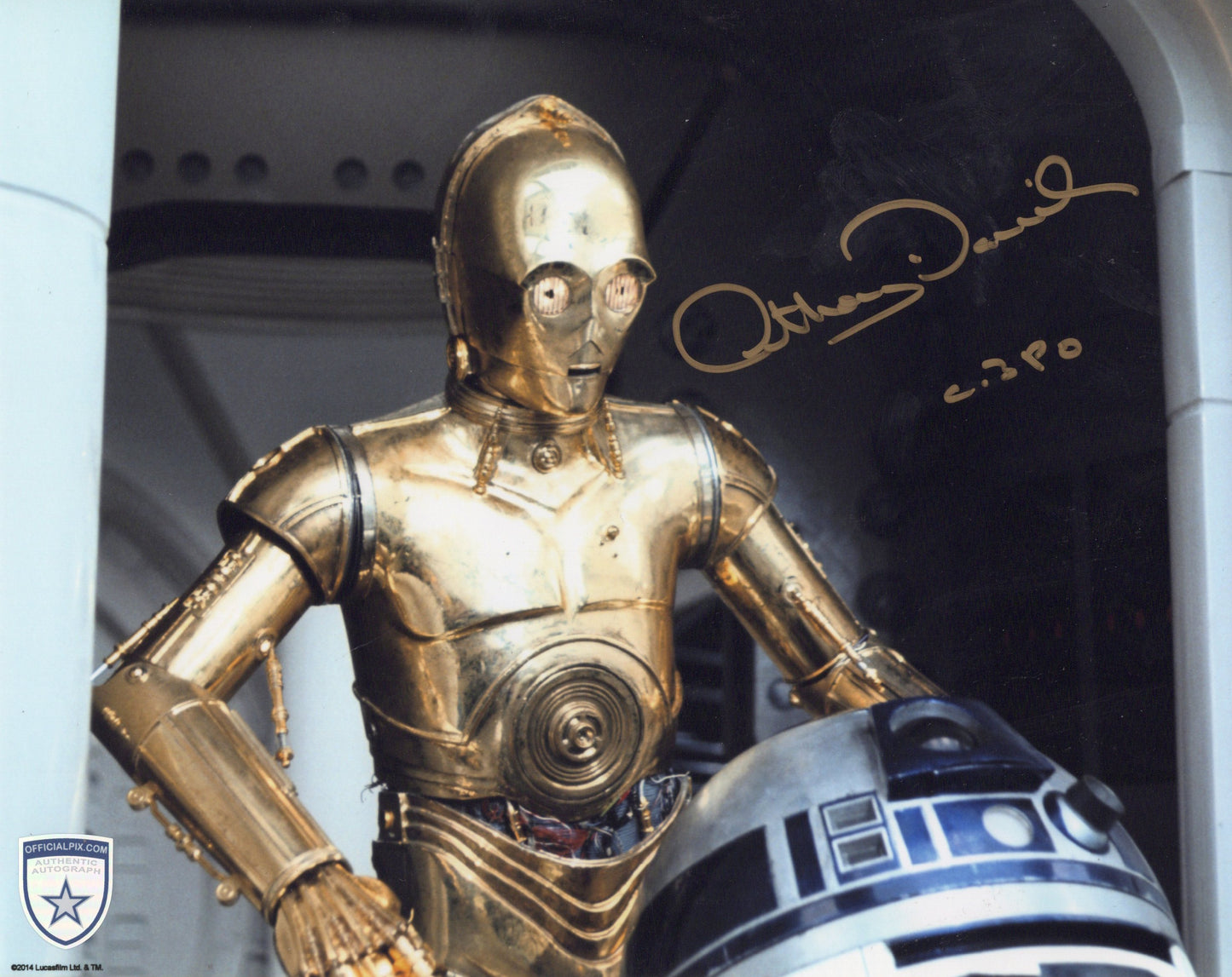 STOCK-ANTHONY-DANIELS-022-8X10