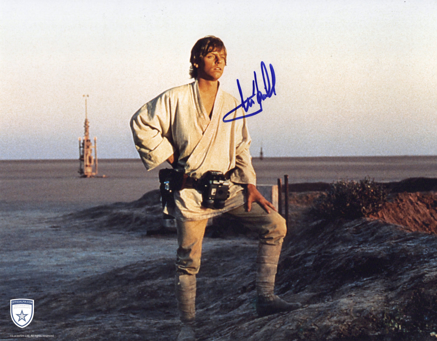 STOCK-MARK-HAMILL-010-11x14