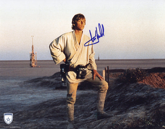 STOCK-MARK-HAMILL-010-11x14