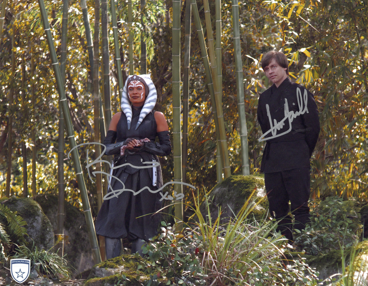 STOCK-MARK-HAMILL-ROSARIO-DAWSON-001-11x14