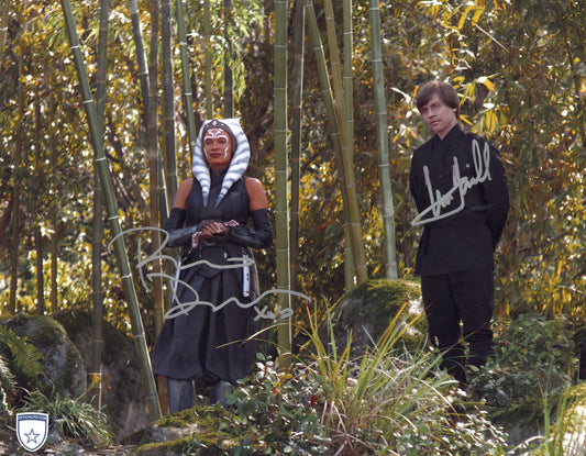 STOCK-MARK-HAMILL-ROSARIO-DAWSON-001-11x14