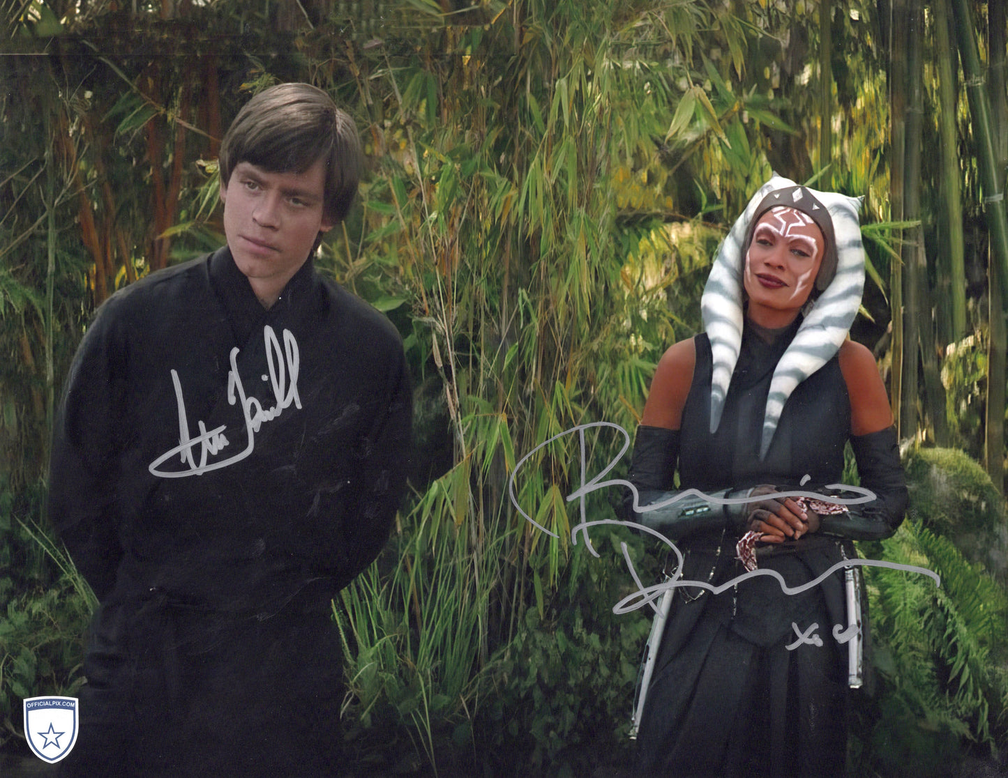 STOCK-MARK-HAMILL-ROSARIO-DAWSON-002-11x14