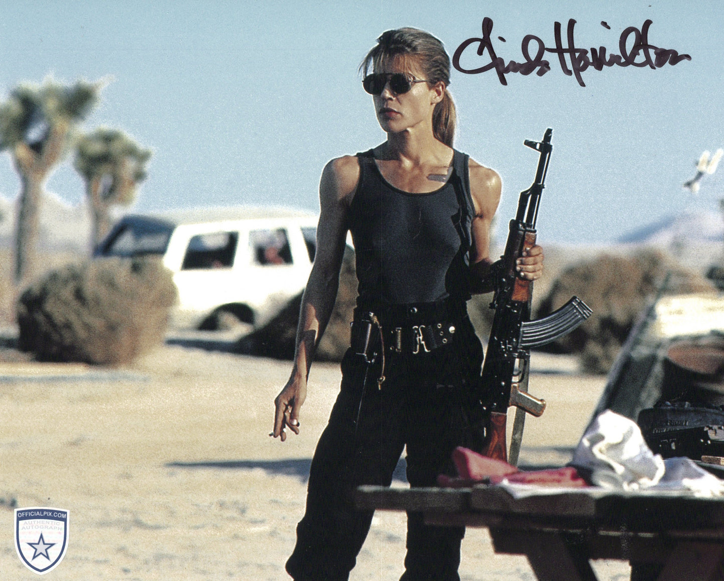 STOCK-LINDA-HAMILTON-007-8X10