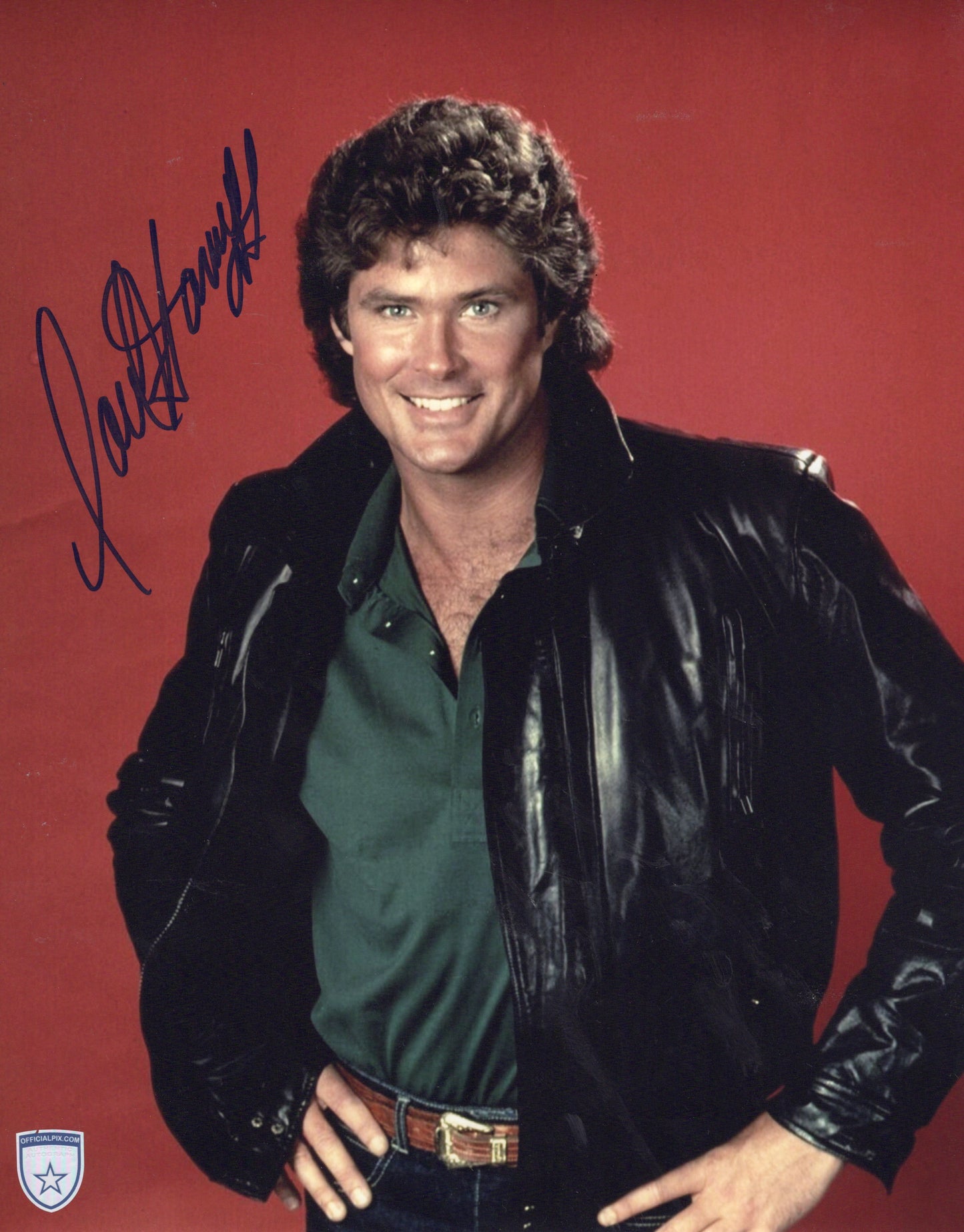 STOCK-DAVID-HASSELHOFF-003-11X14