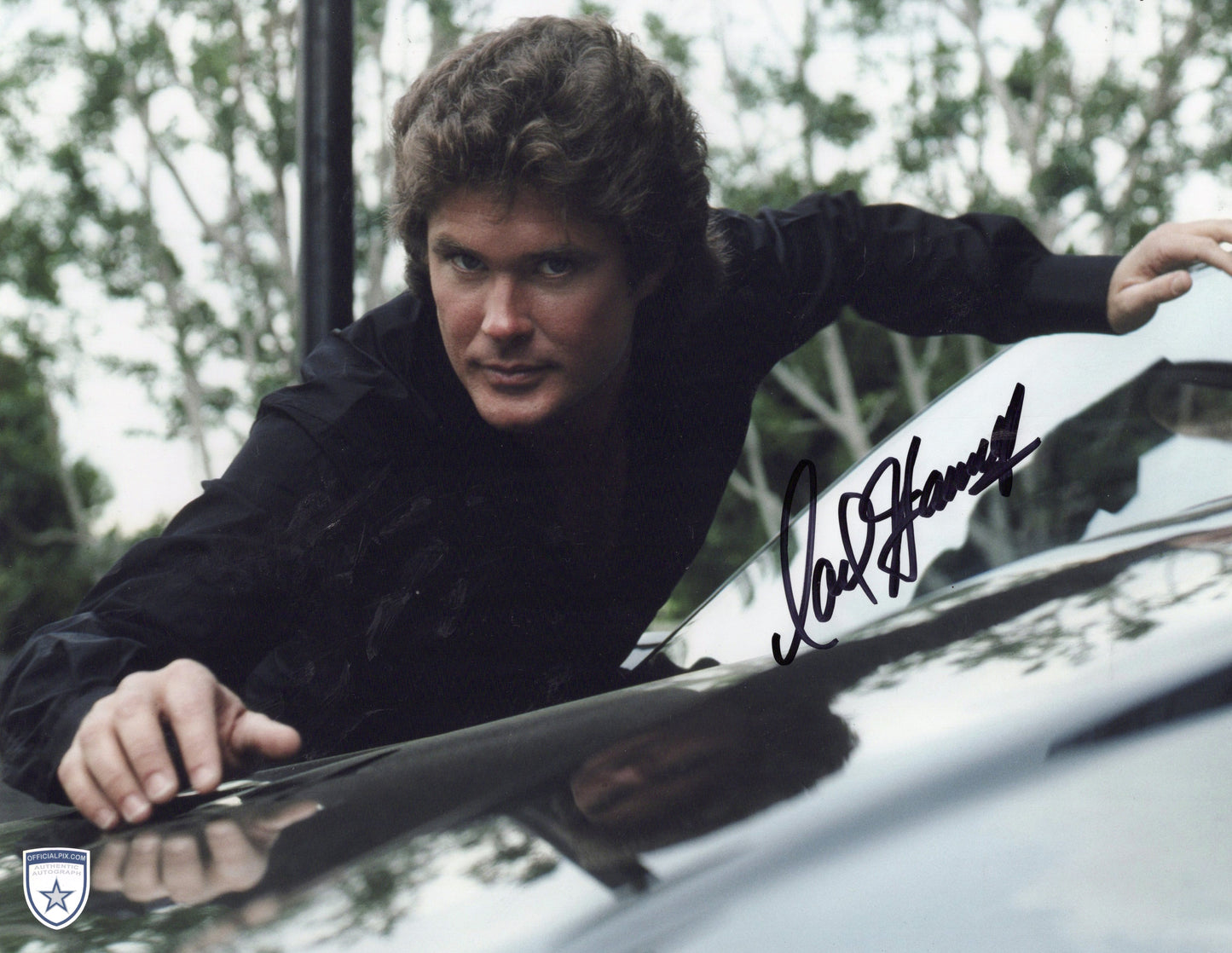 STOCK-DAVID-HASSELHOFF-006-11X14