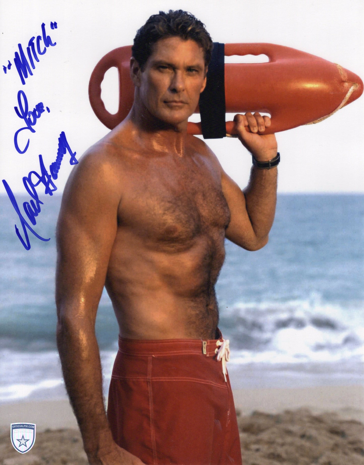 STOCK-DAVID-HASSELHOFF-011-11X14-M