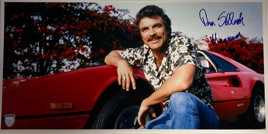 STOCK-TOM-SELLECK-001-10x20
