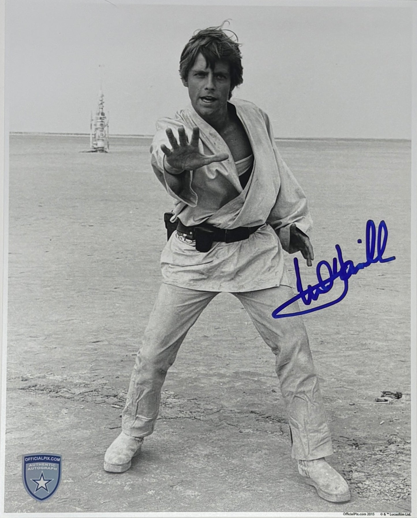 STOCK-MARK-HAMILL-014-08x10