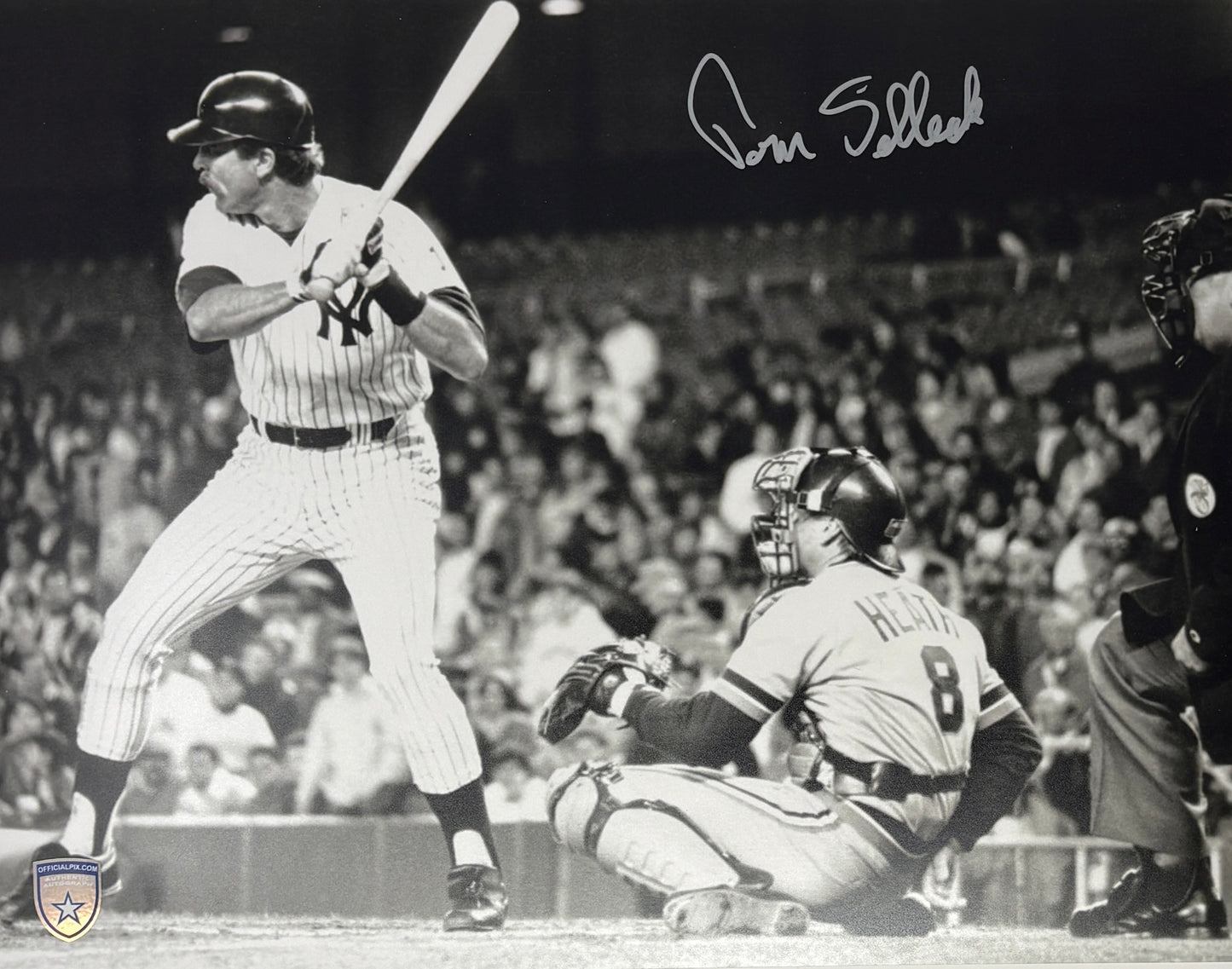 STOCK-TOM-SELLECK-004-11x14