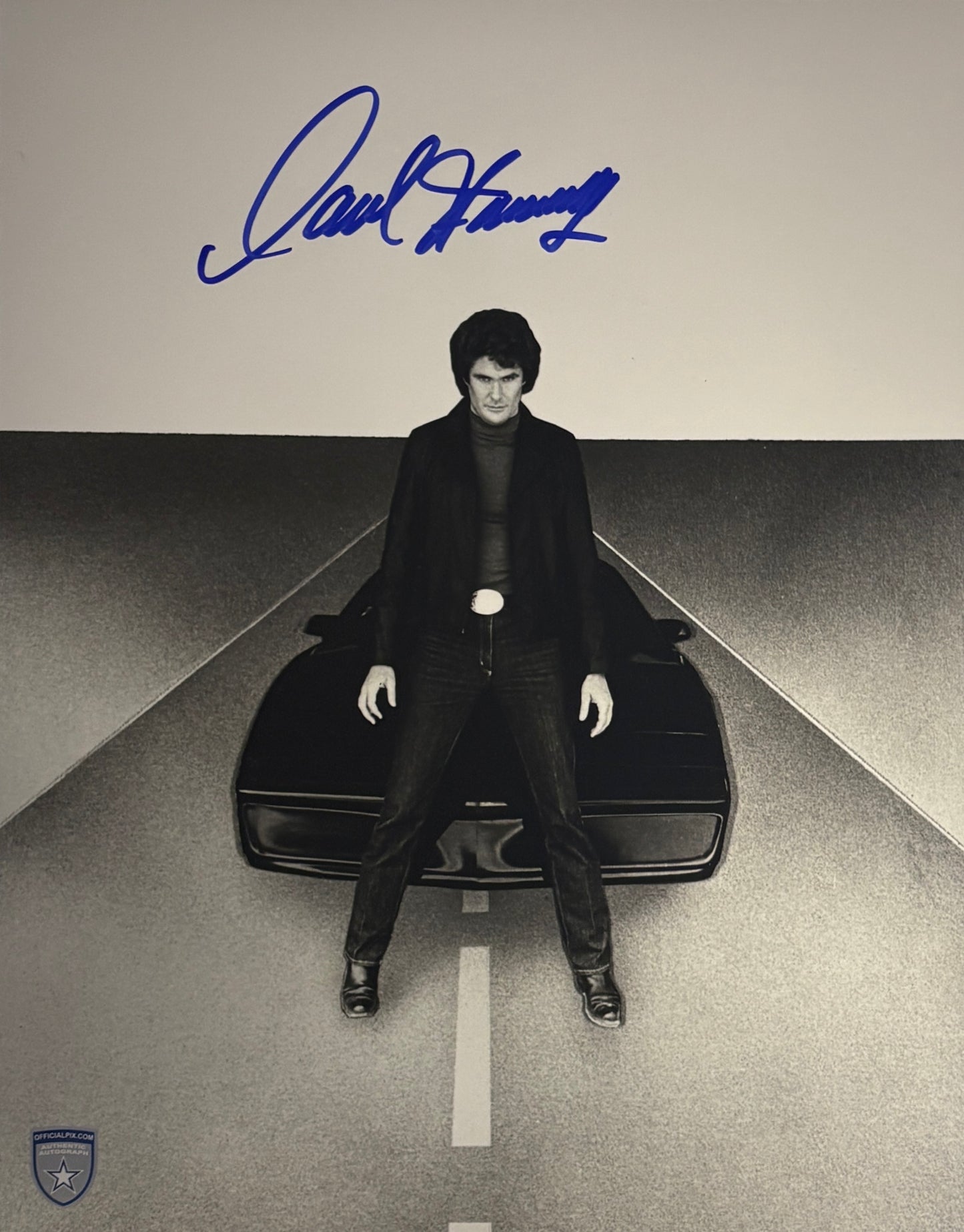 STOCK-DAVID-HASSELHOFF-012-11X14