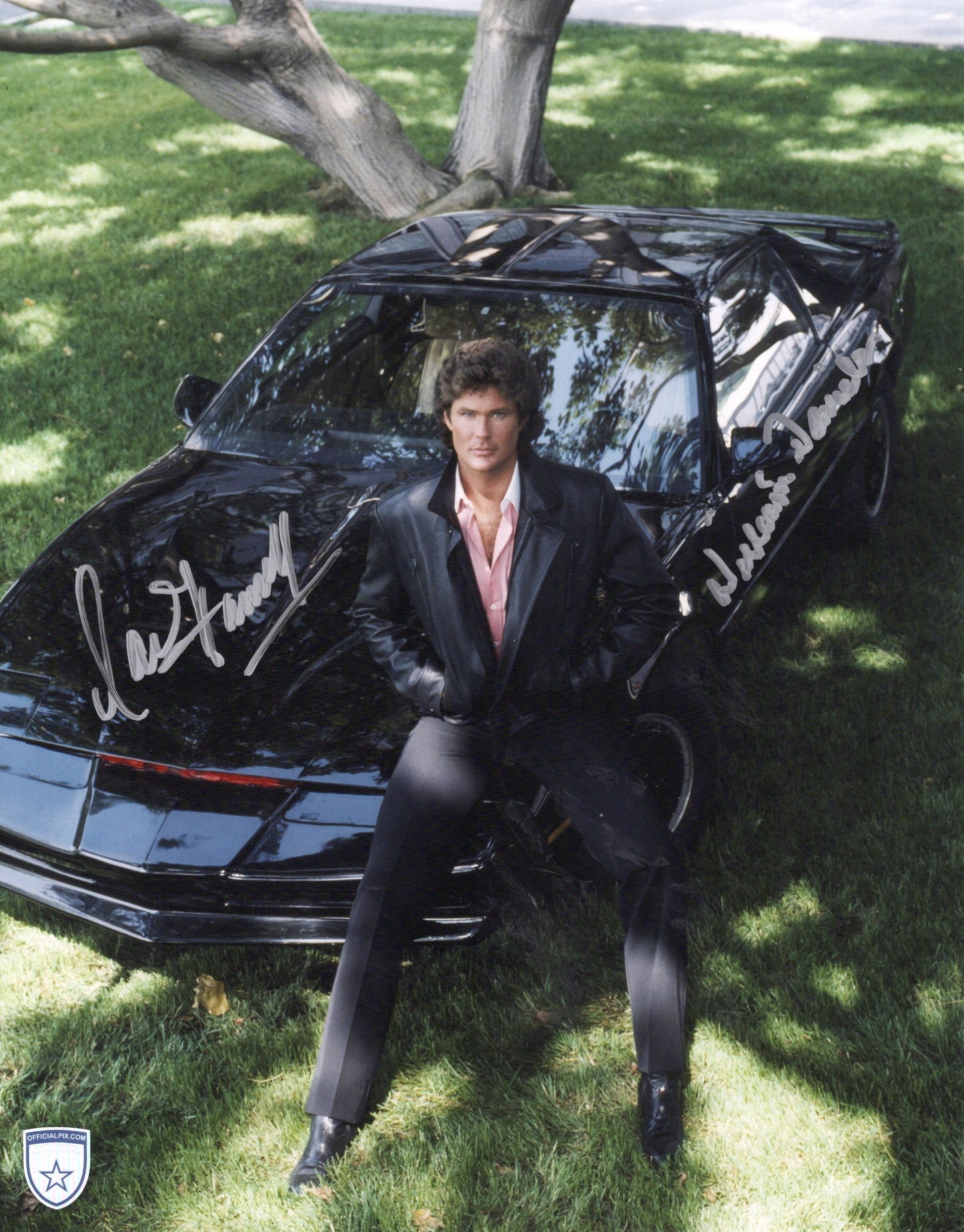 STOCK-DAVID-HASSELHOFF-WILLIAMS-DANIELS-001-11X14-M