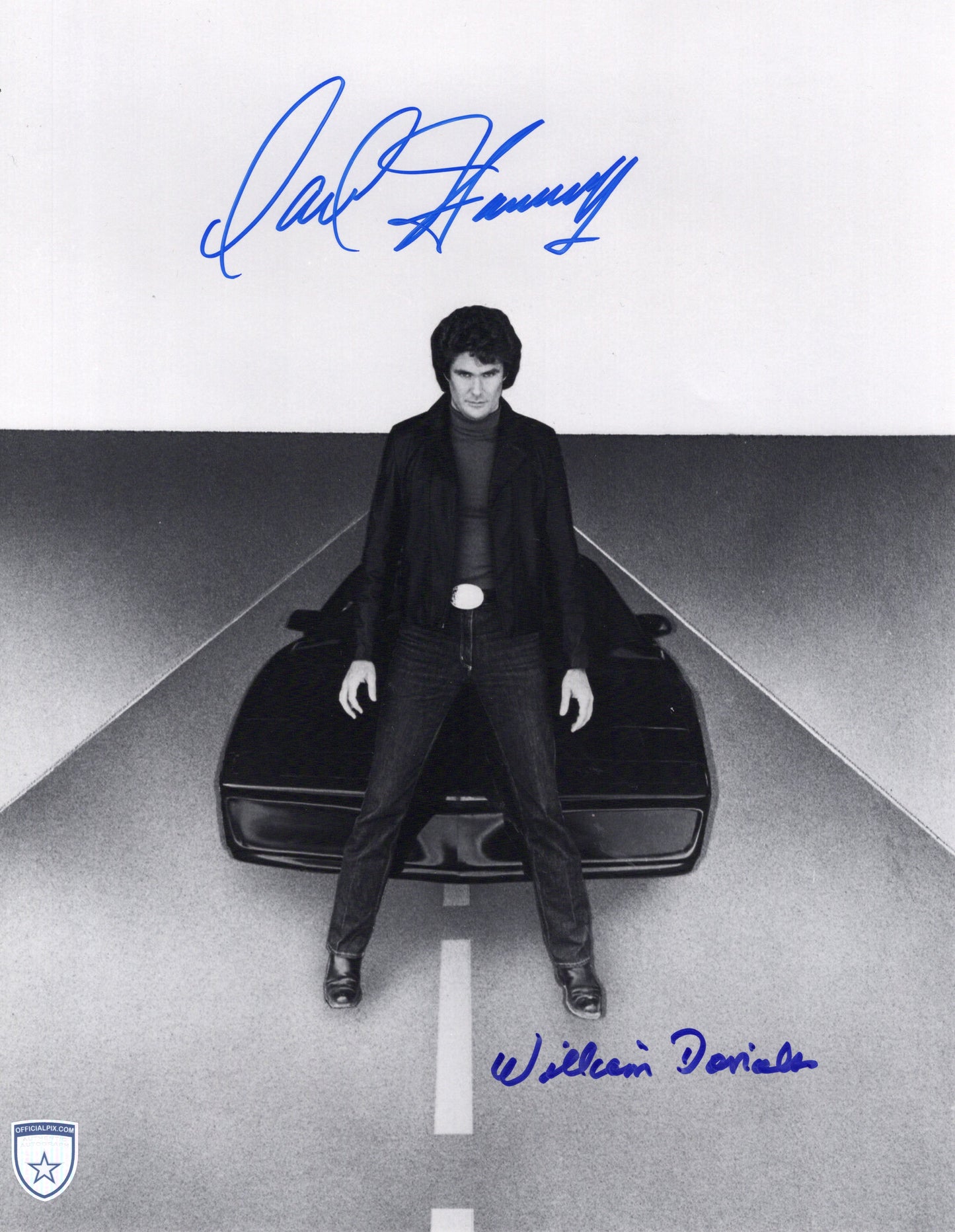 STOCK-DAVID-HASSELHOFF-WILLIAMS-DANIELS-004-11X14-M