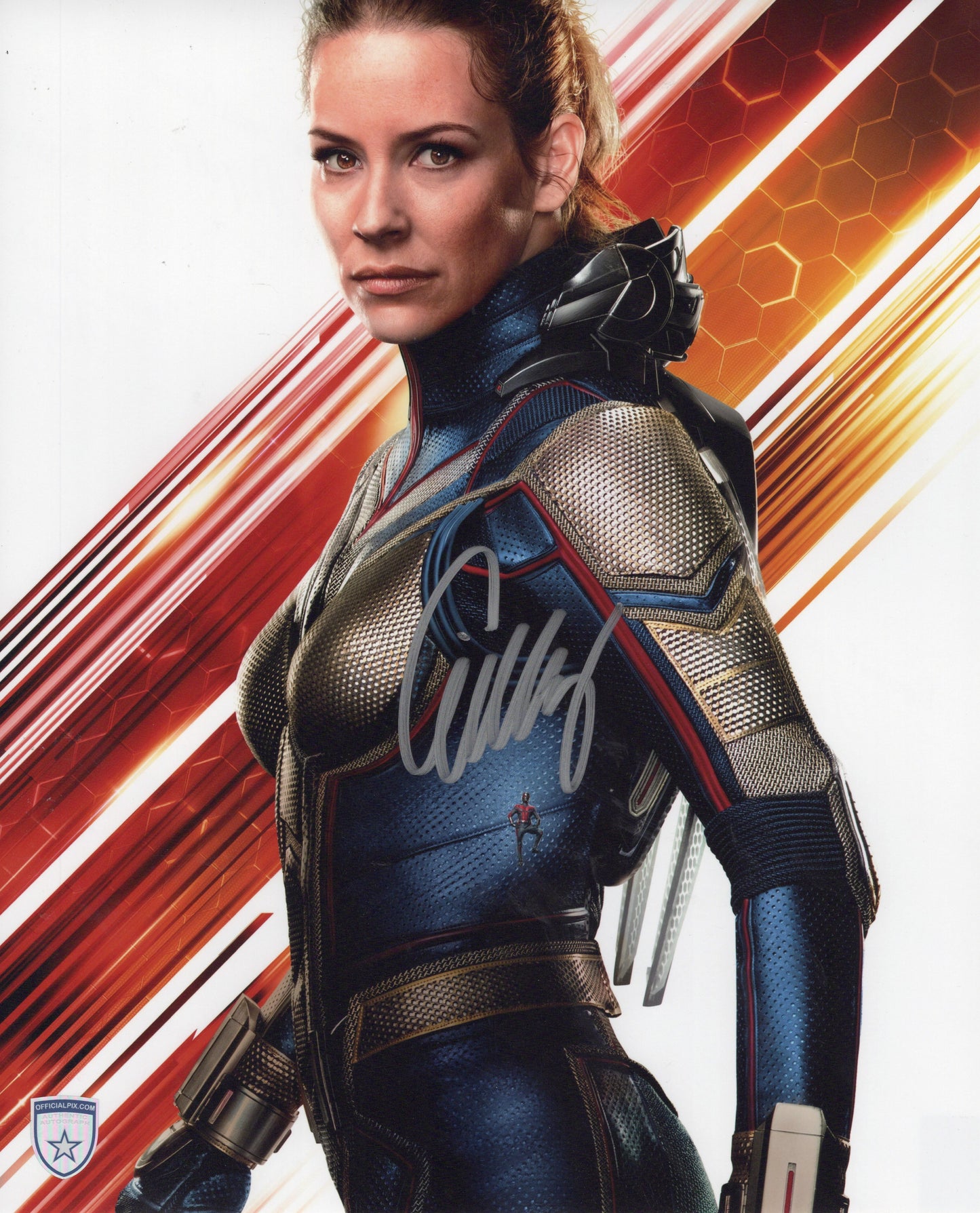 STOCK-EVANGELINE-LILLY-002-11X14