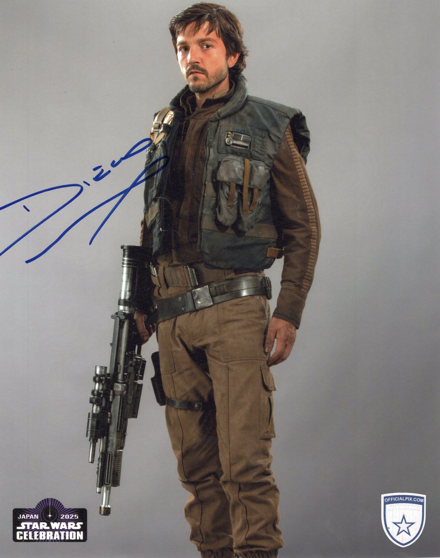 STOCK-DIEGO-LUNA-003-8X10