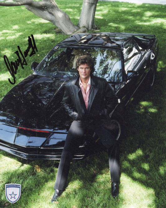 STOCK-DAVID-HASSELHOFF-01-8X10