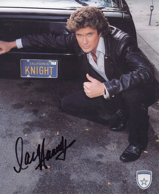 STOCK-DAVID-HASSELHOFF-03-8X10