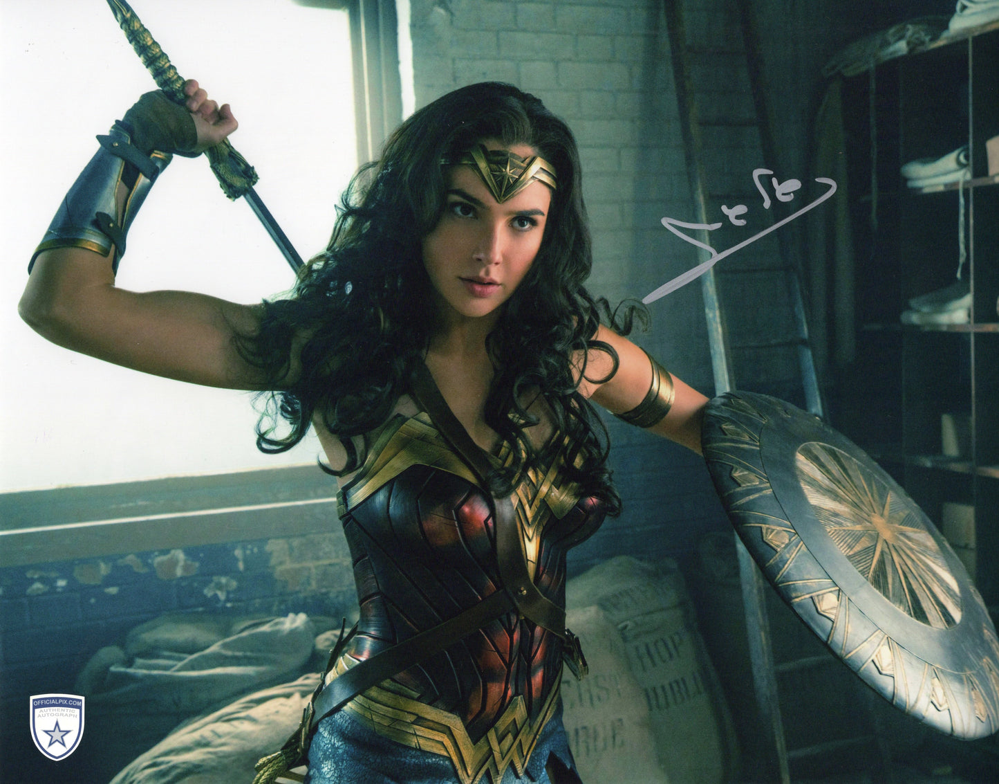 STOCK-GADOT-041-11x14
