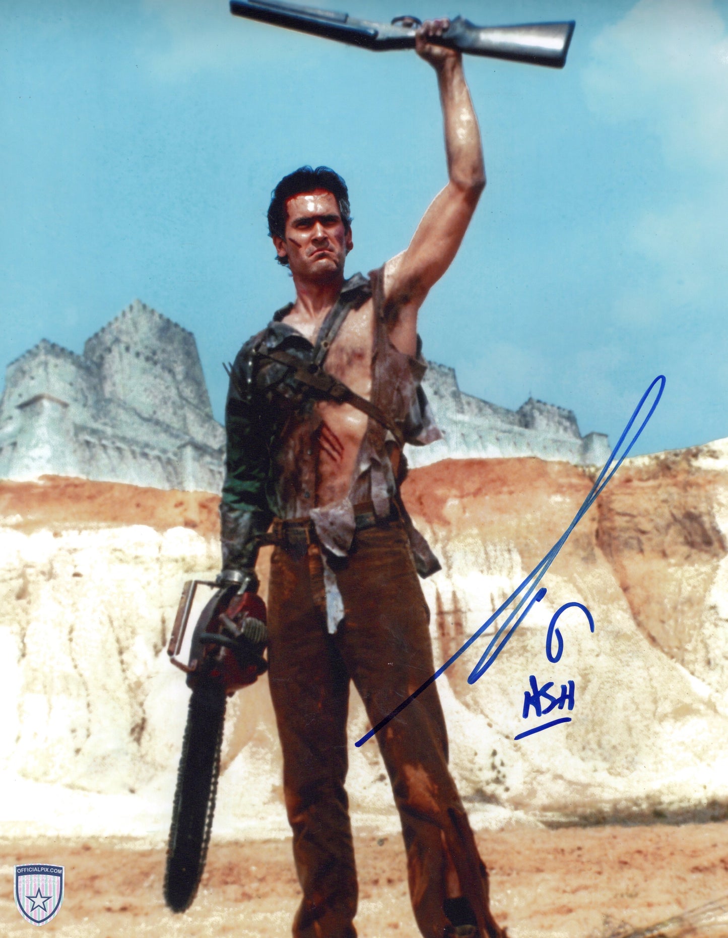 STOCK-BRUCE-CAMPBELL-001-11x14