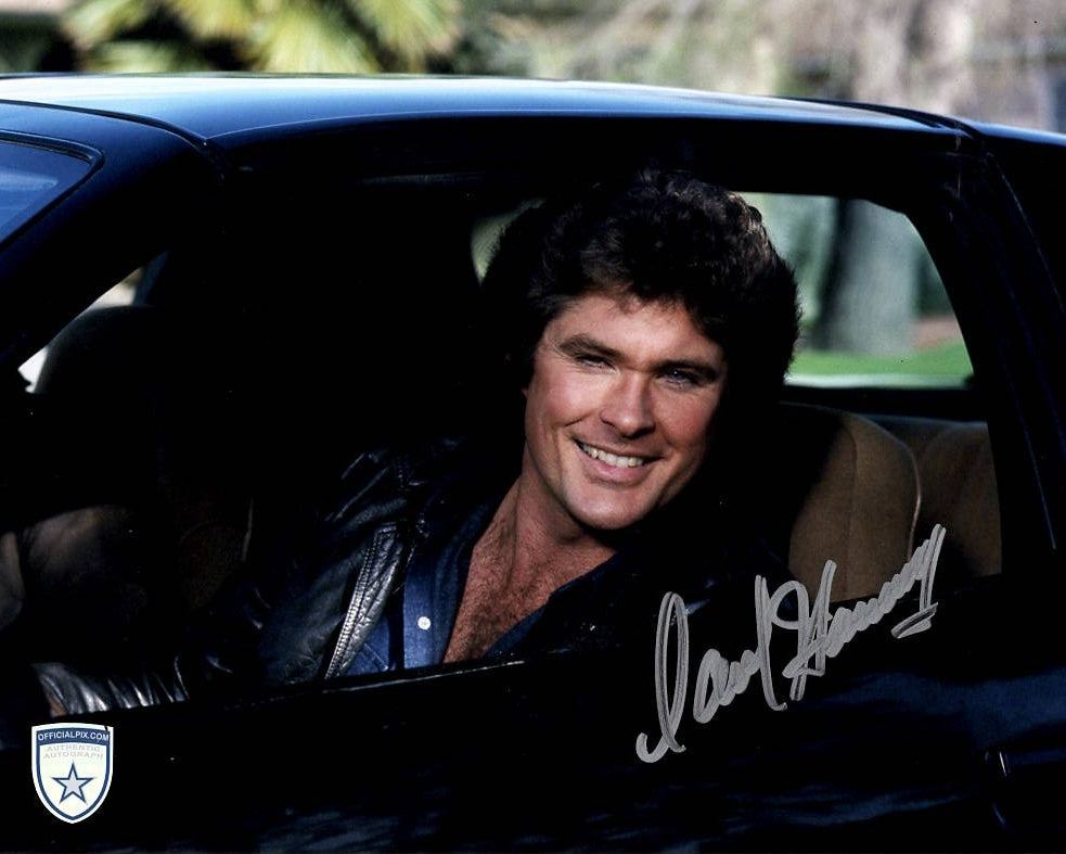 STOCK-DAVID-HASSELHOFF-005-8X10