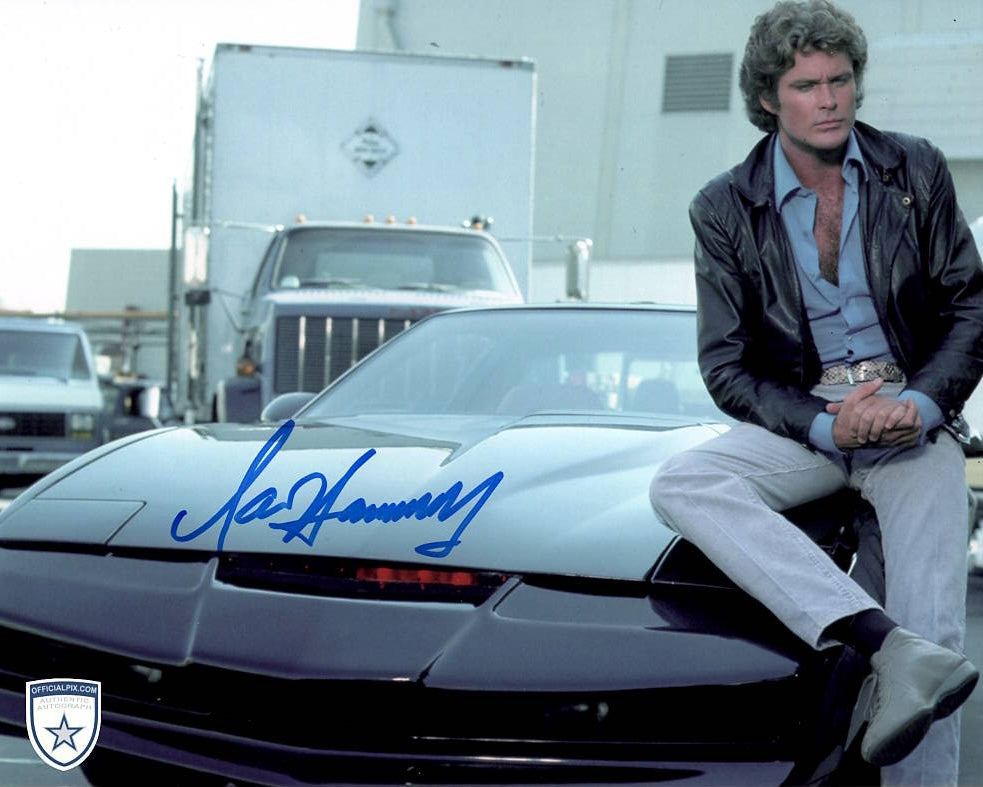 STOCK-DAVID-HASSELHOFF-008-8X10