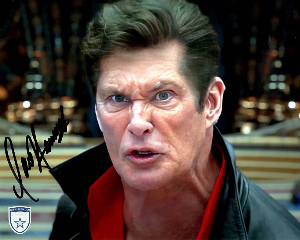 STOCK-DAVID-HASSELHOFF-011-8X10