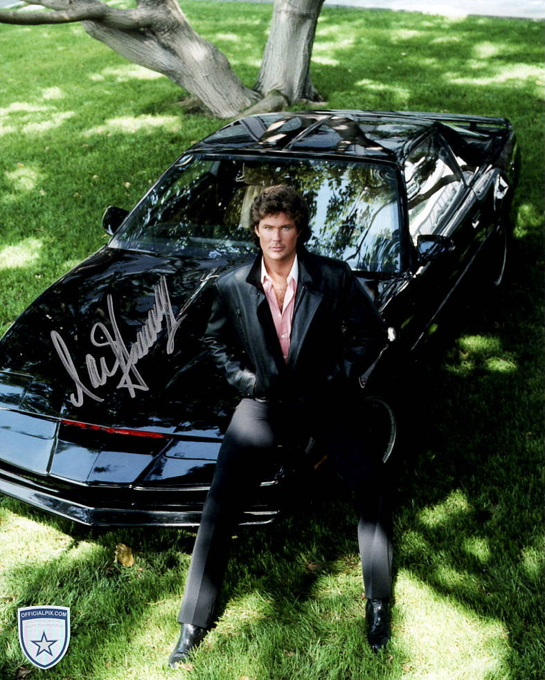 STOCK-DAVID-HASSELHOFF-019-8X10