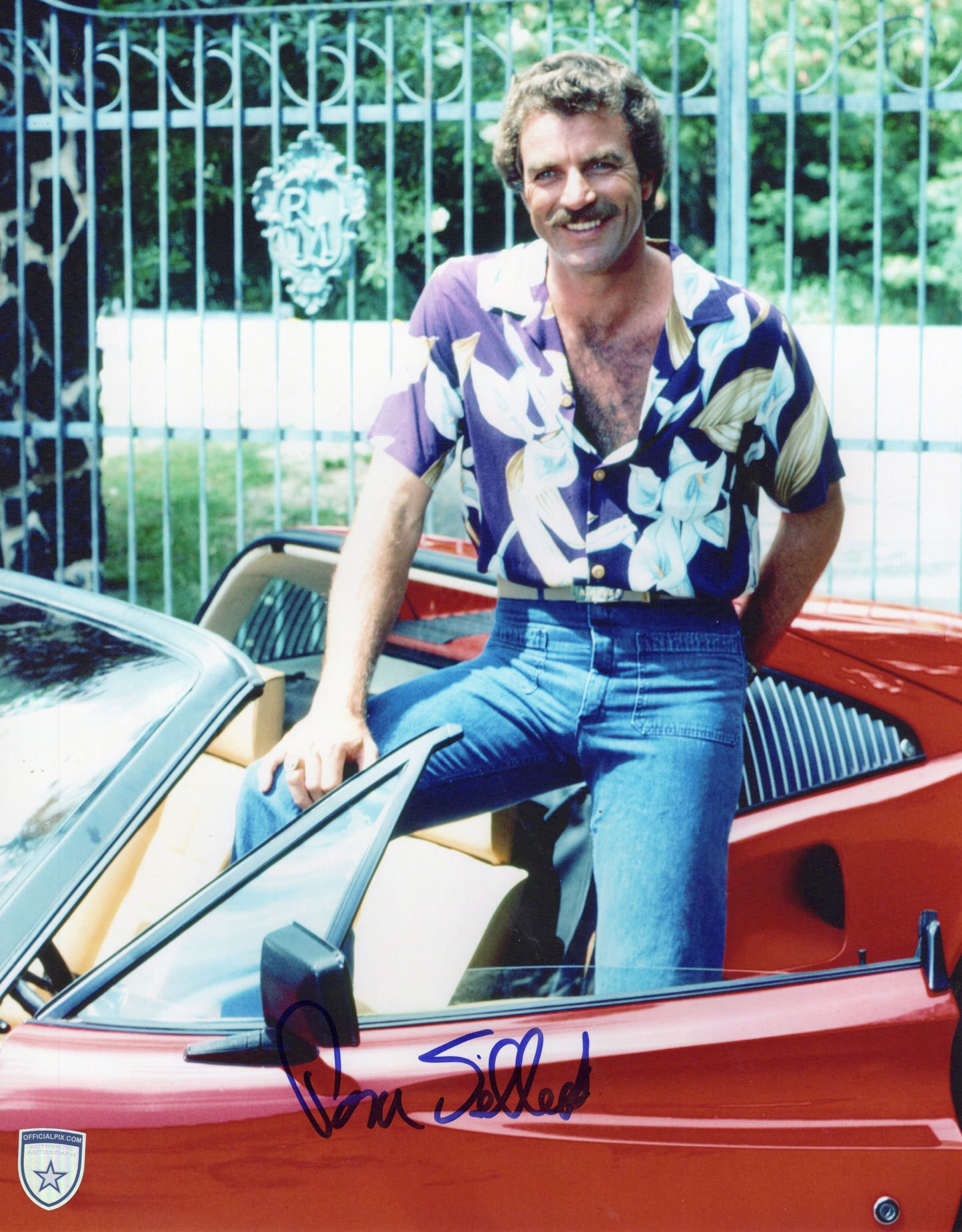 STOCK-TOM-SELLECK-015-11x14